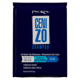 Maintenance Shampoo Color Cenizo Especial Prokpil